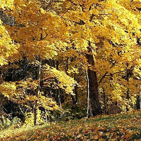 Karupesa